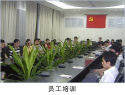 广州光桥